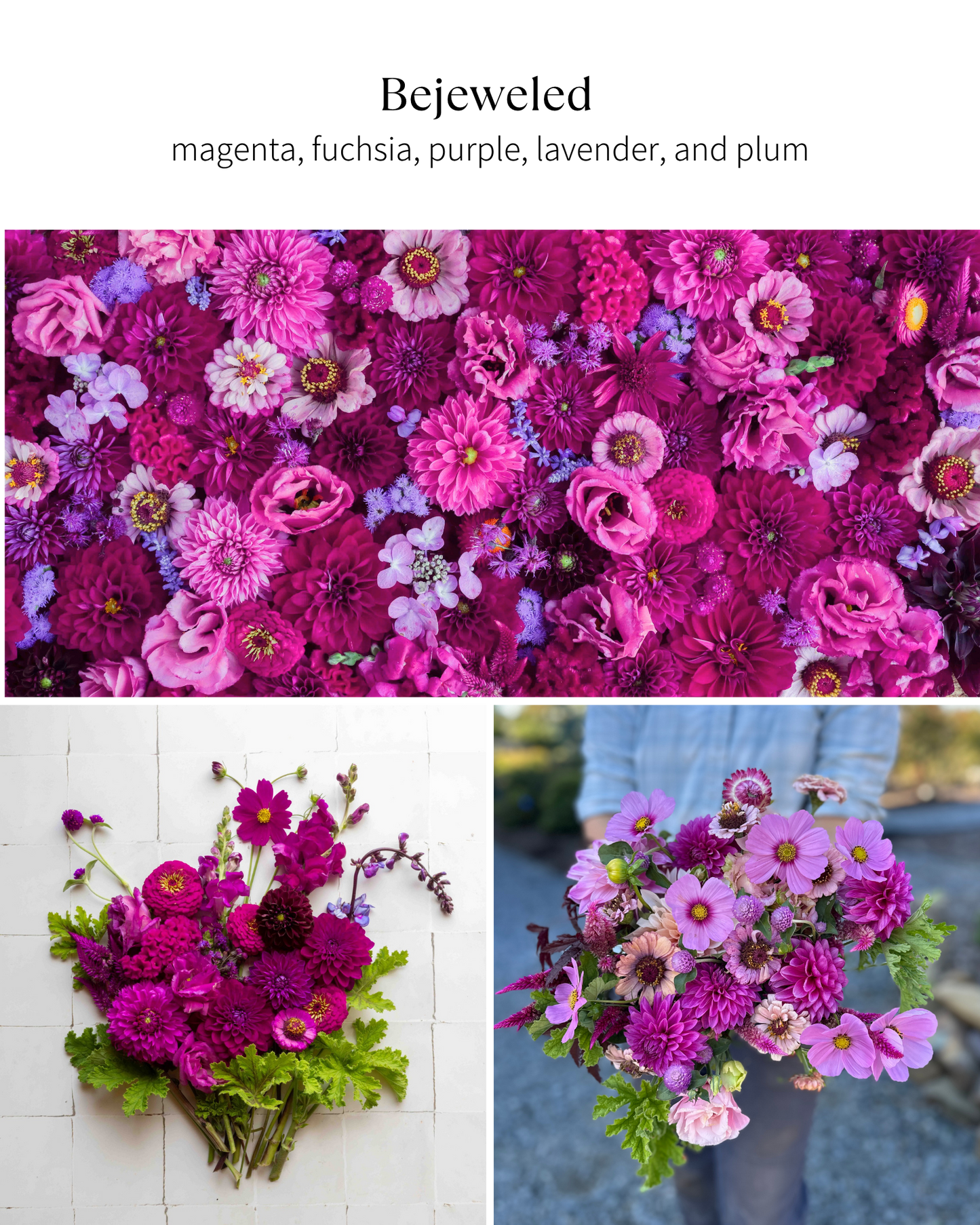Bloom Bucket: Bejeweled (50 Stems)