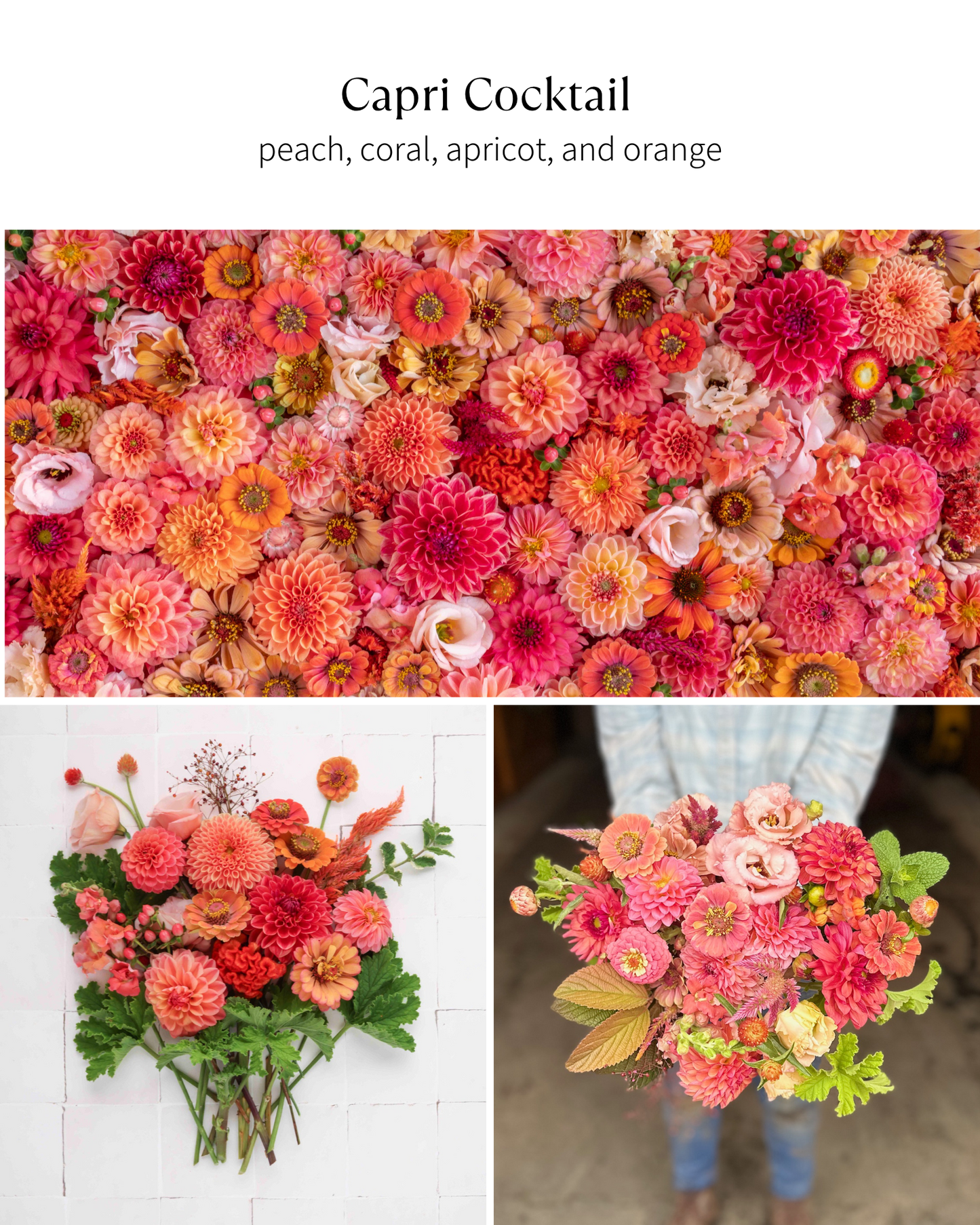 Bloom Bucket: Capri Cocktail (50 Stems)