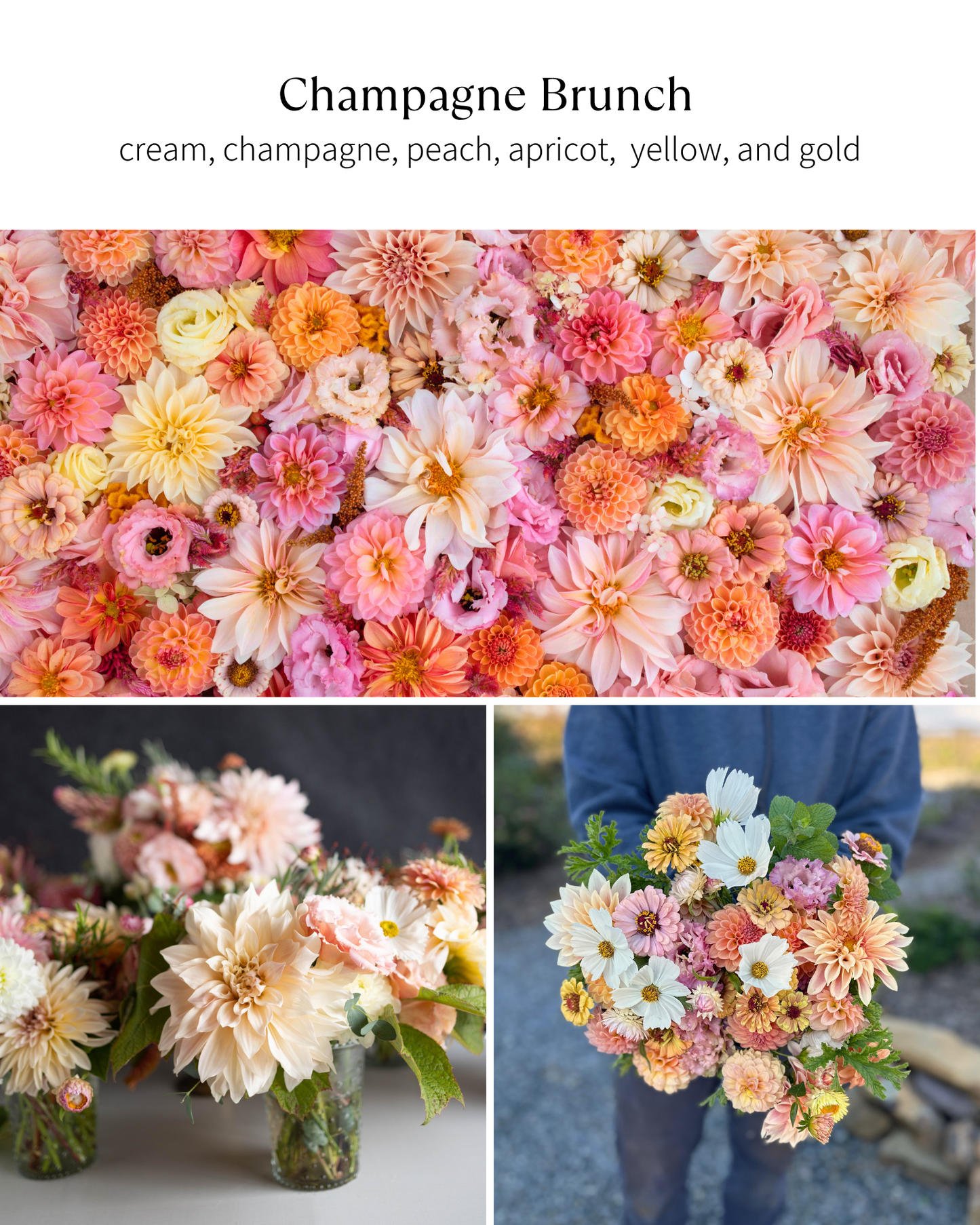 Bloom Bucket: Champagne Brunch (50 Stems)