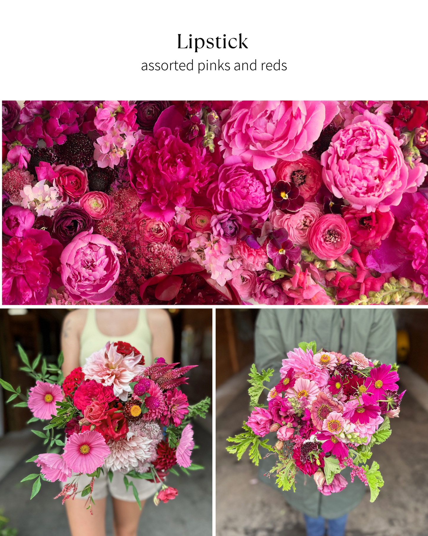 Bloom Bucket: Lipstick (50 Stems)