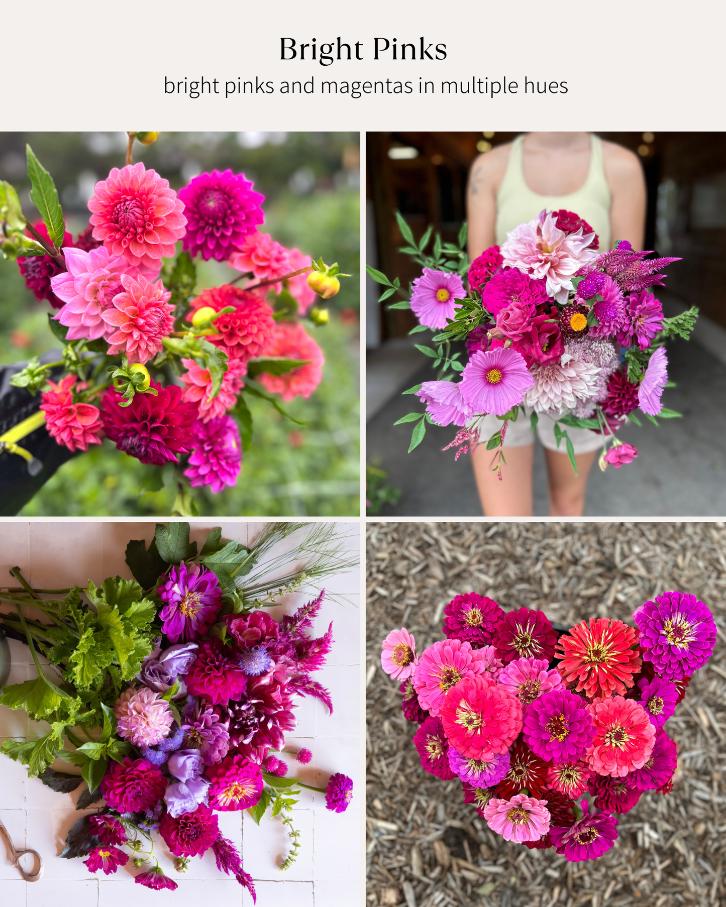 Bucket: Mixed Blooms (60 Stems)