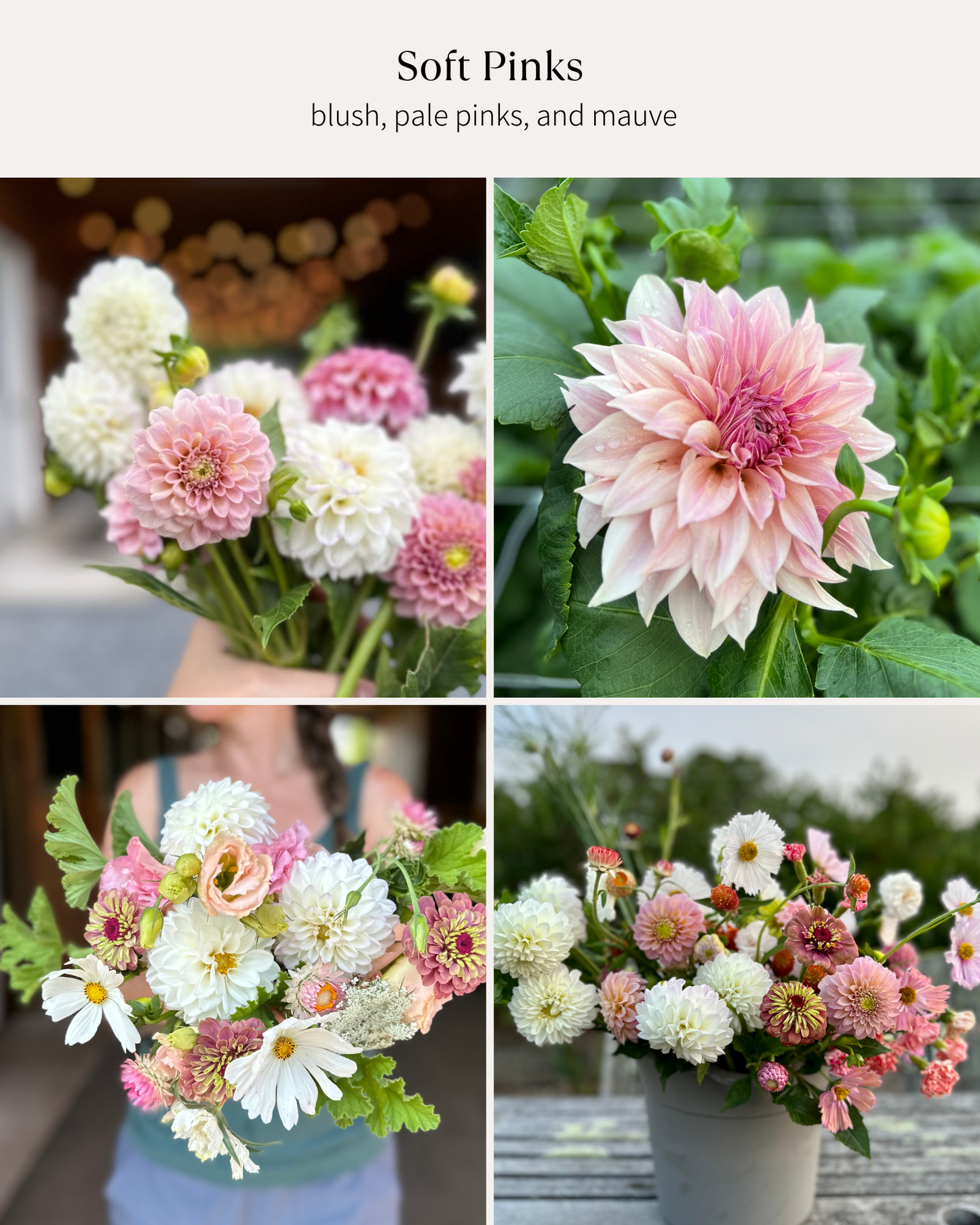Bucket: Mixed Blooms (60 Stems)