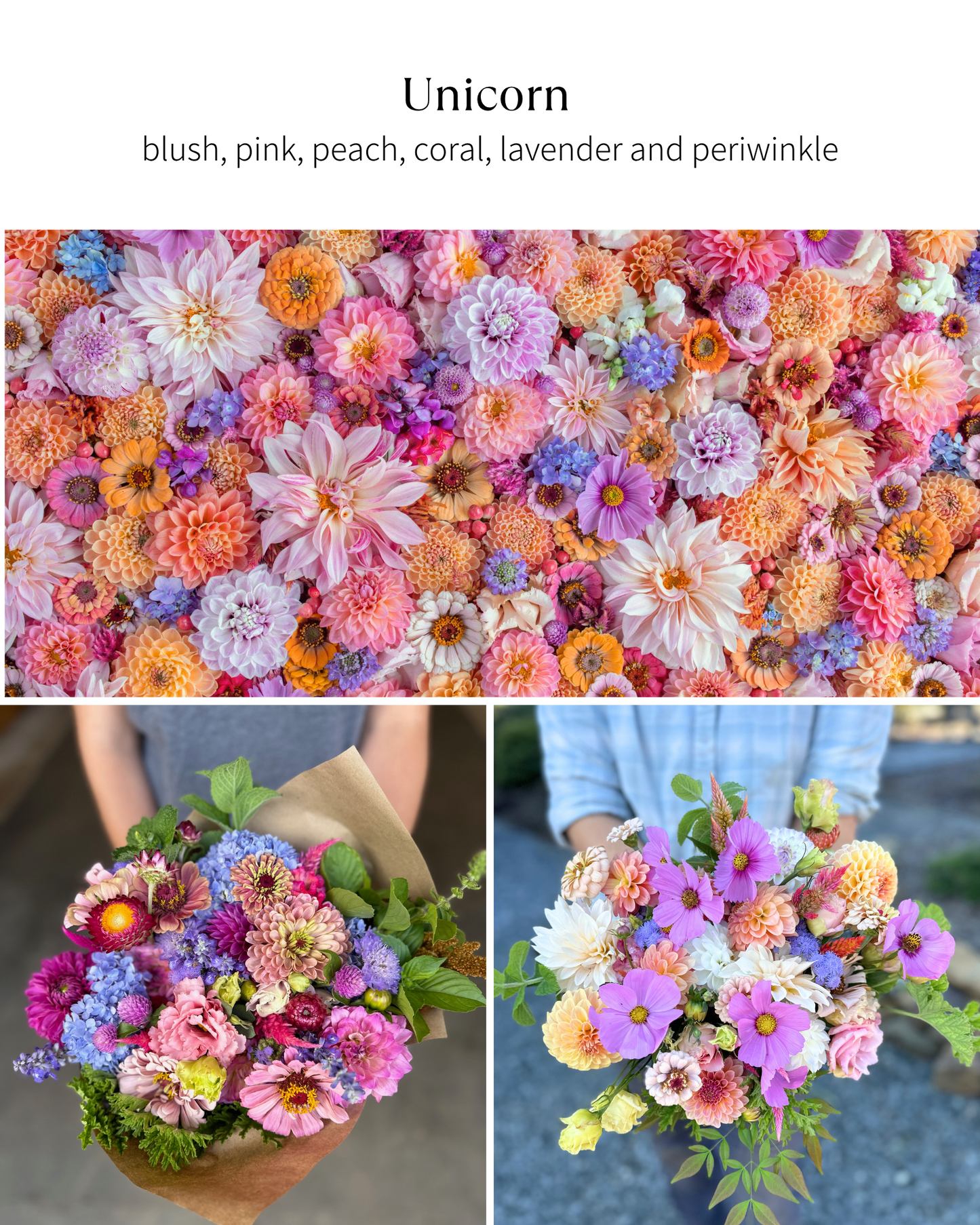 Bloom Bucket: Unicorn (50 Stems)