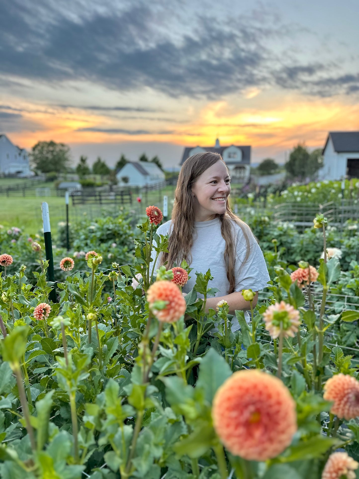 Golden Hour Dahlia Pick: Saturday, October 4th, 430PM - 7PM