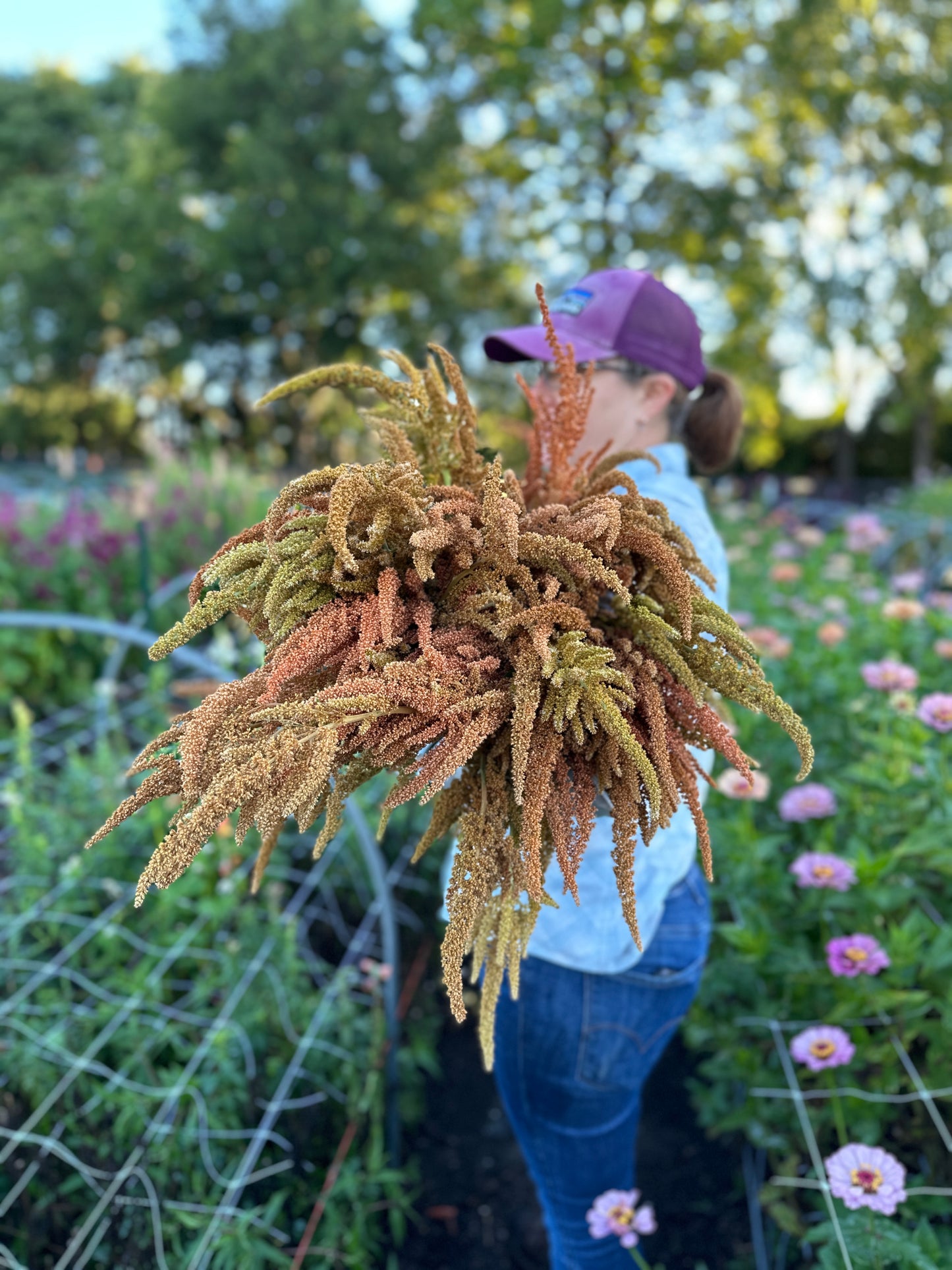 A Handheld Bouquet Workshop - Saturday, October 11th, 10AM