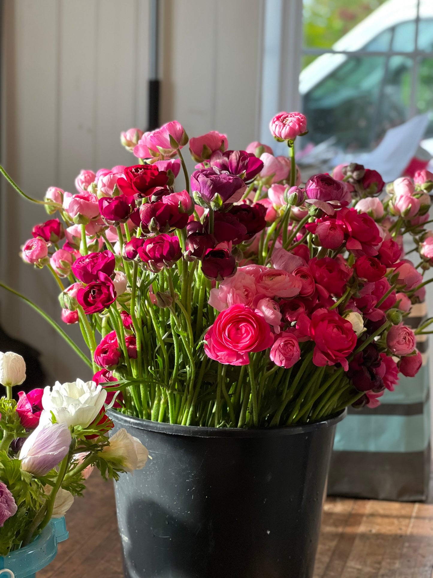 Ranunculus Bucket (50 Stems)