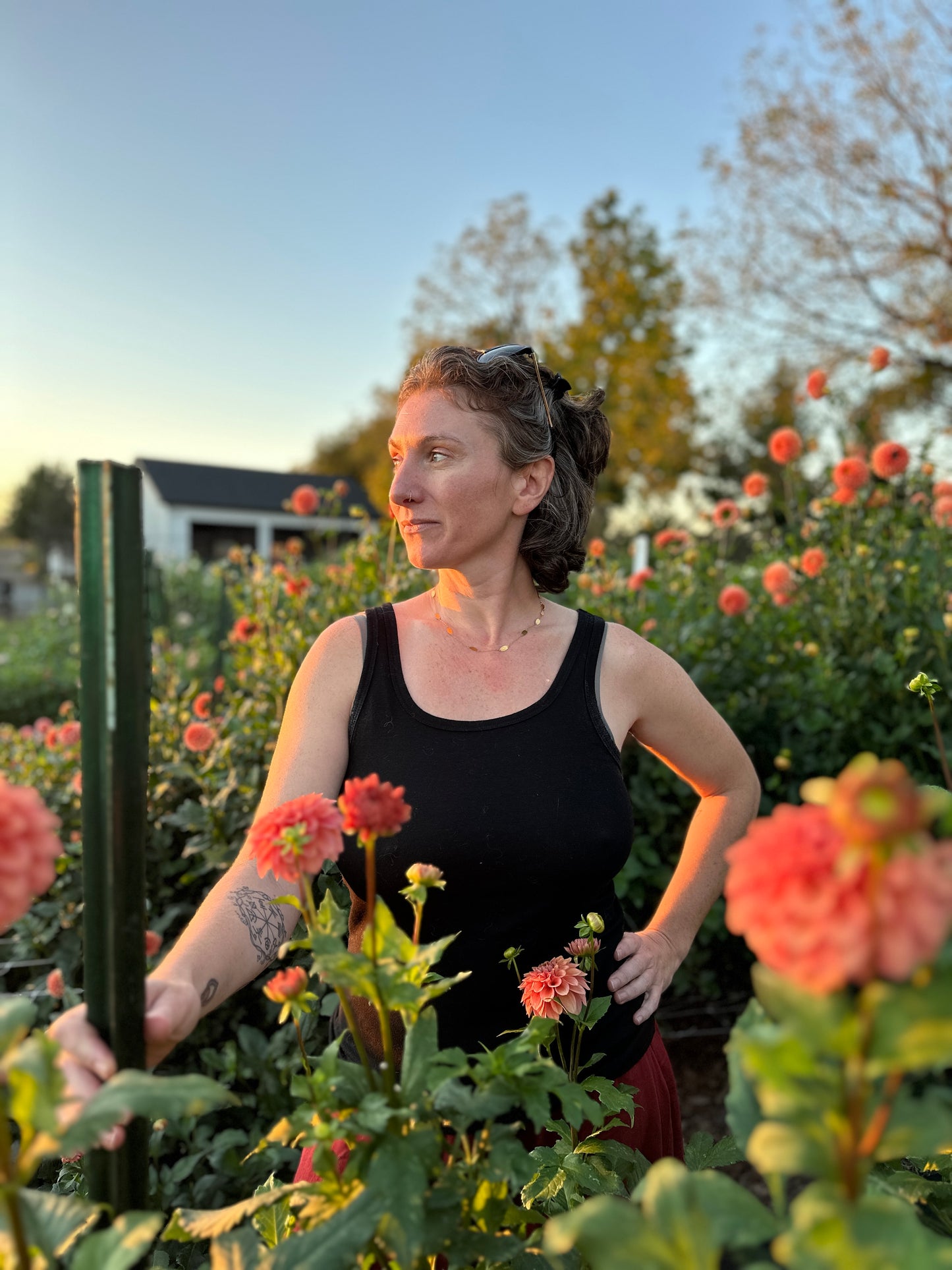 Golden Hour Dahlia Pick: Saturday, October 4th, 430PM - 7PM