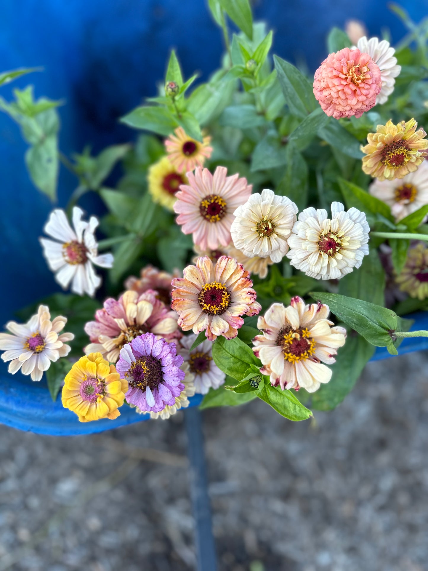 A Handheld Bouquet Workshop - Saturday, October 11th, 10AM