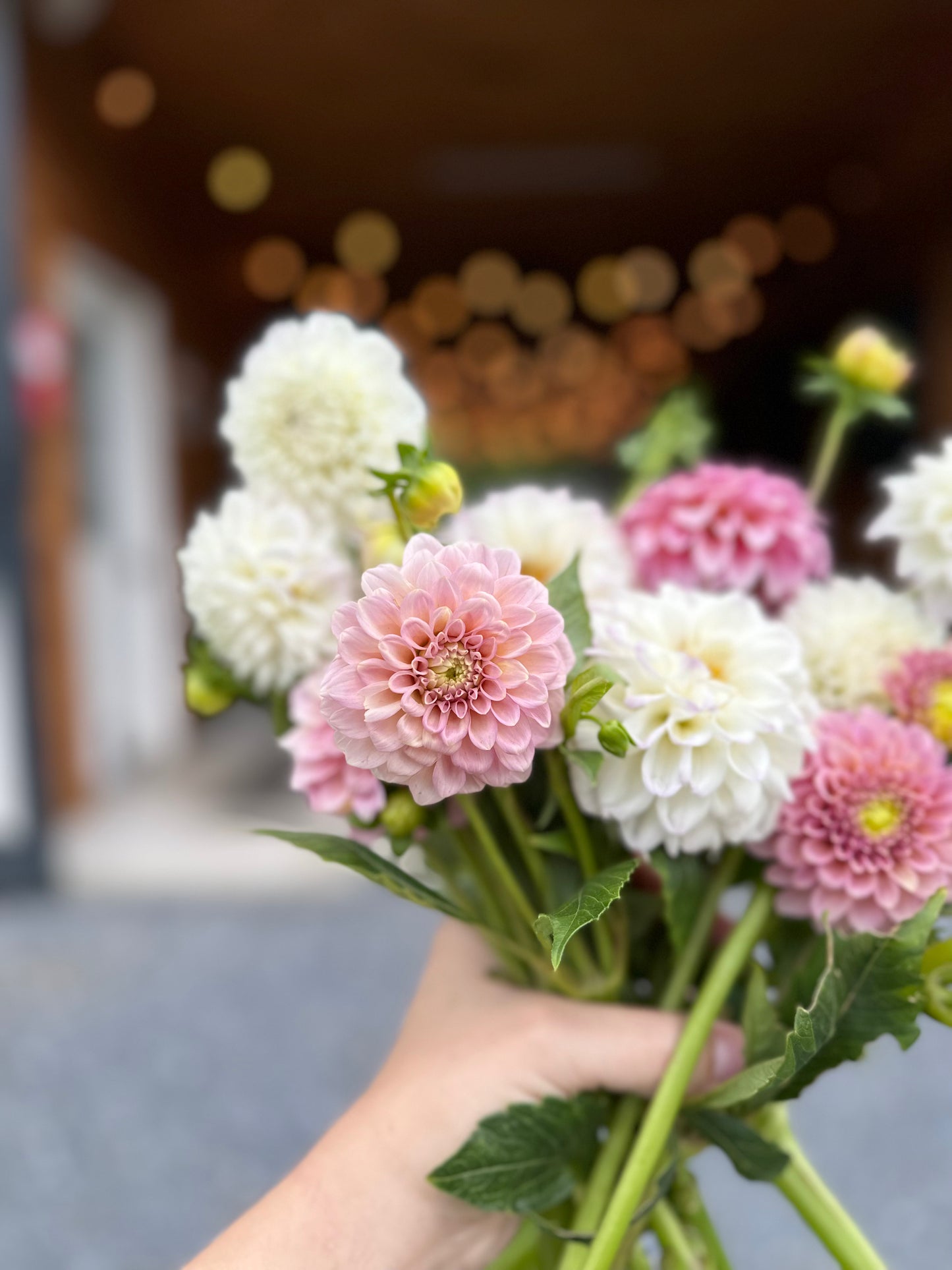 Golden Hour Dahlia Pick: Saturday, October 4th, 430PM - 7PM