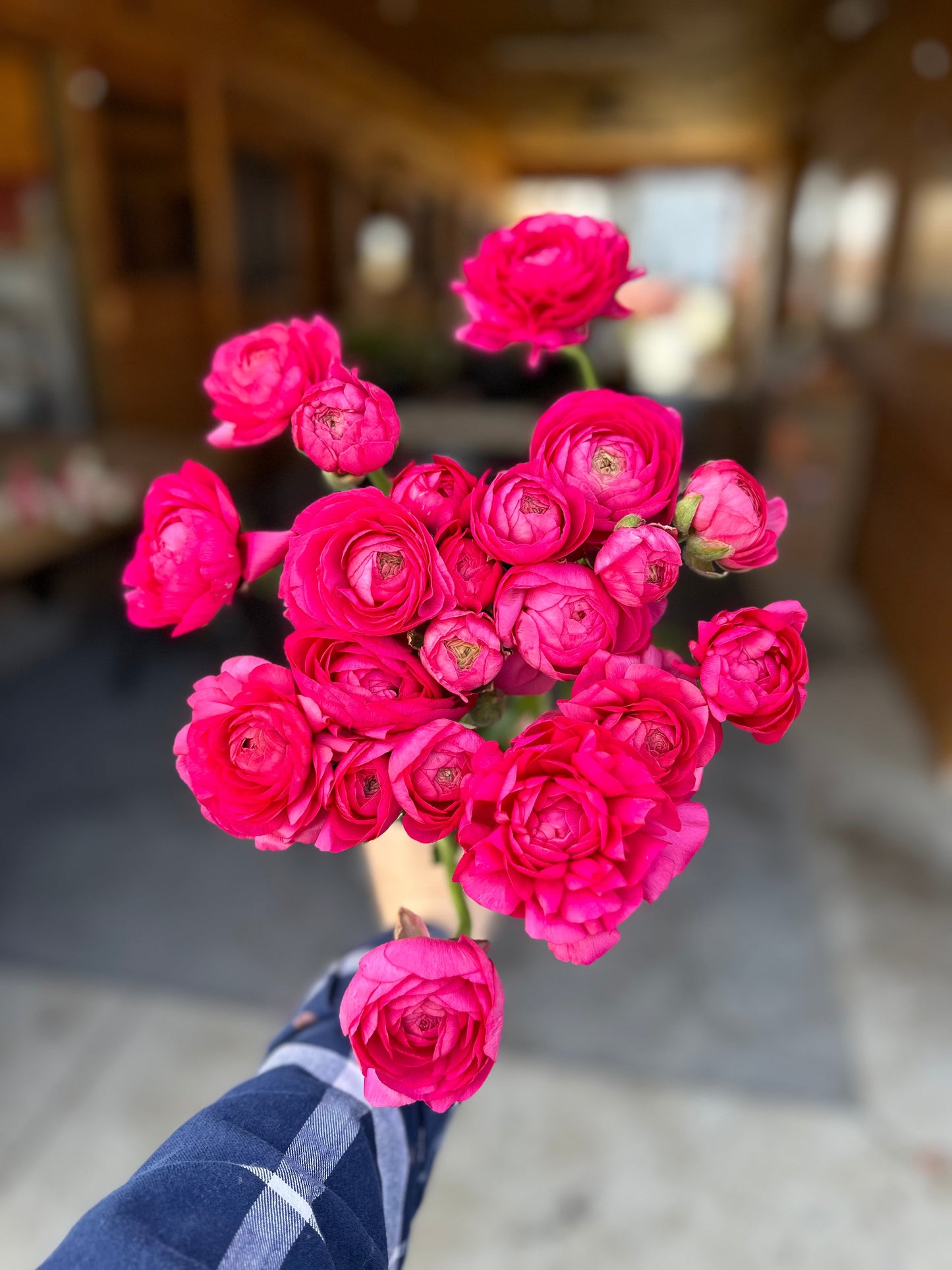 Mother's Day Ranunculus Bunch