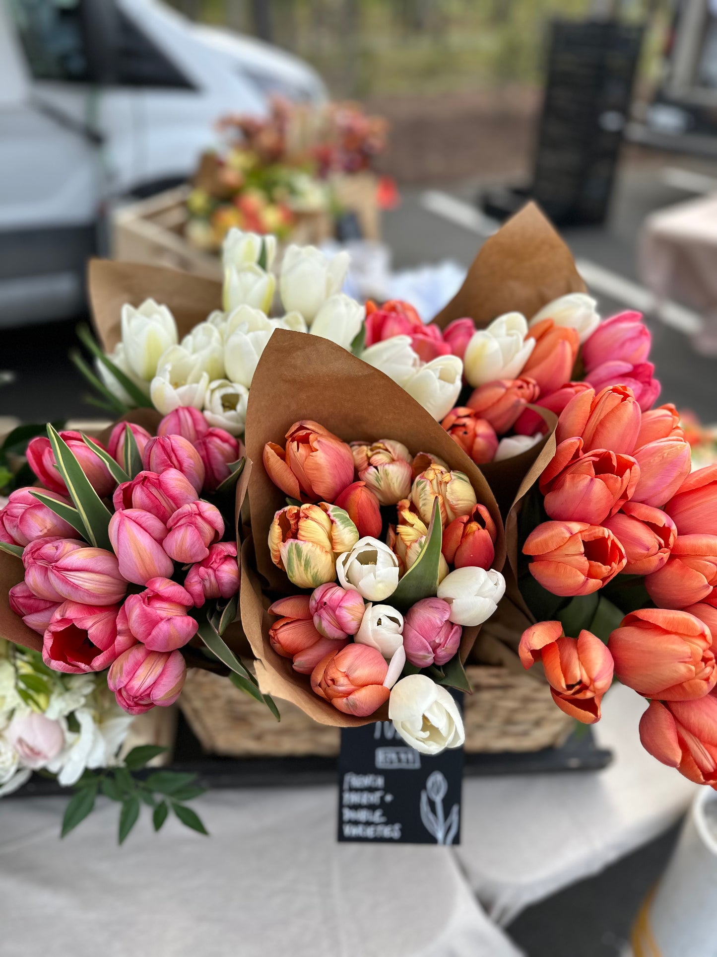 4 Weeks of Specialty Tulips (March 12 - April 2)