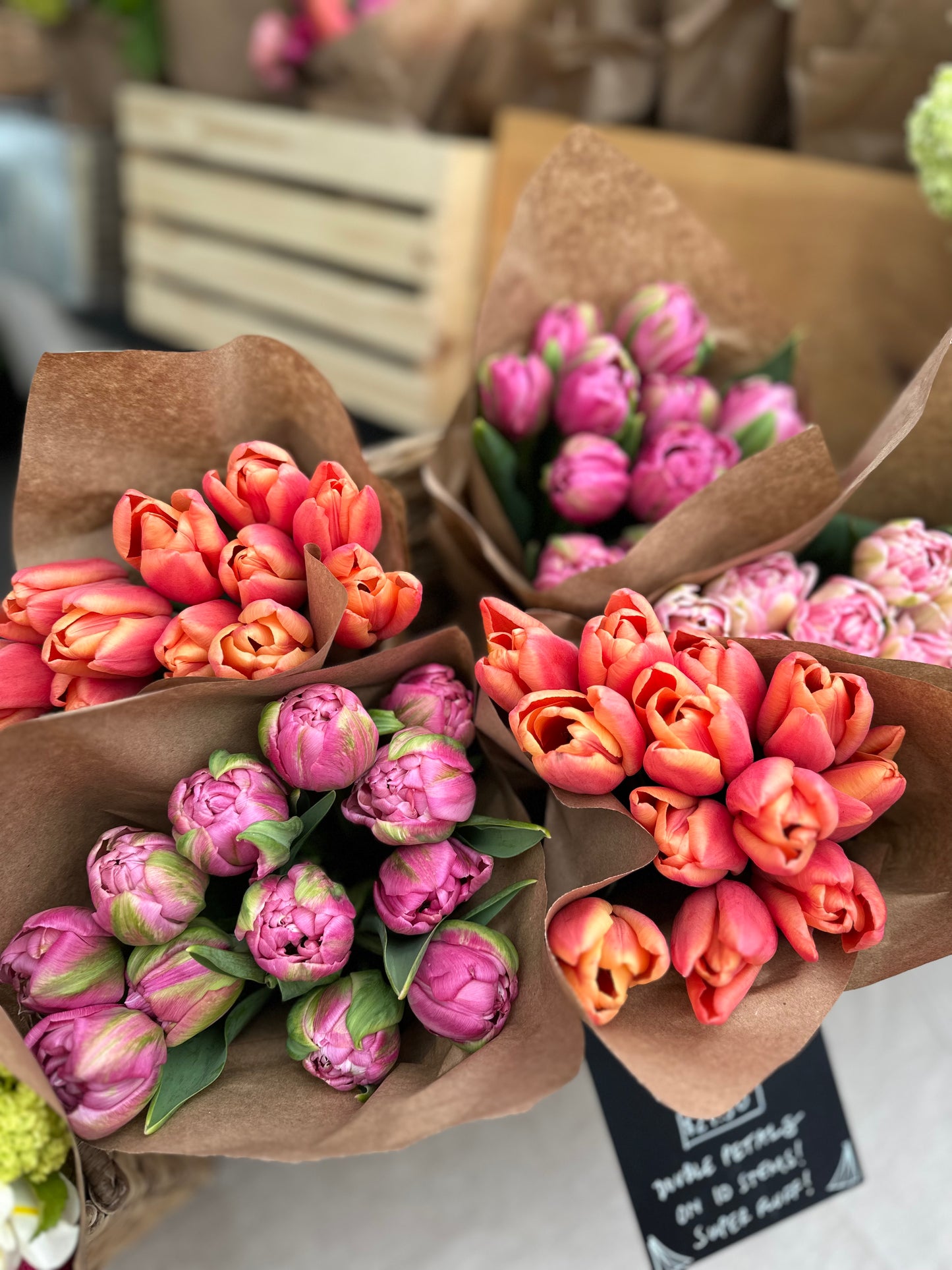 Tulip Bucket (50 Stems)