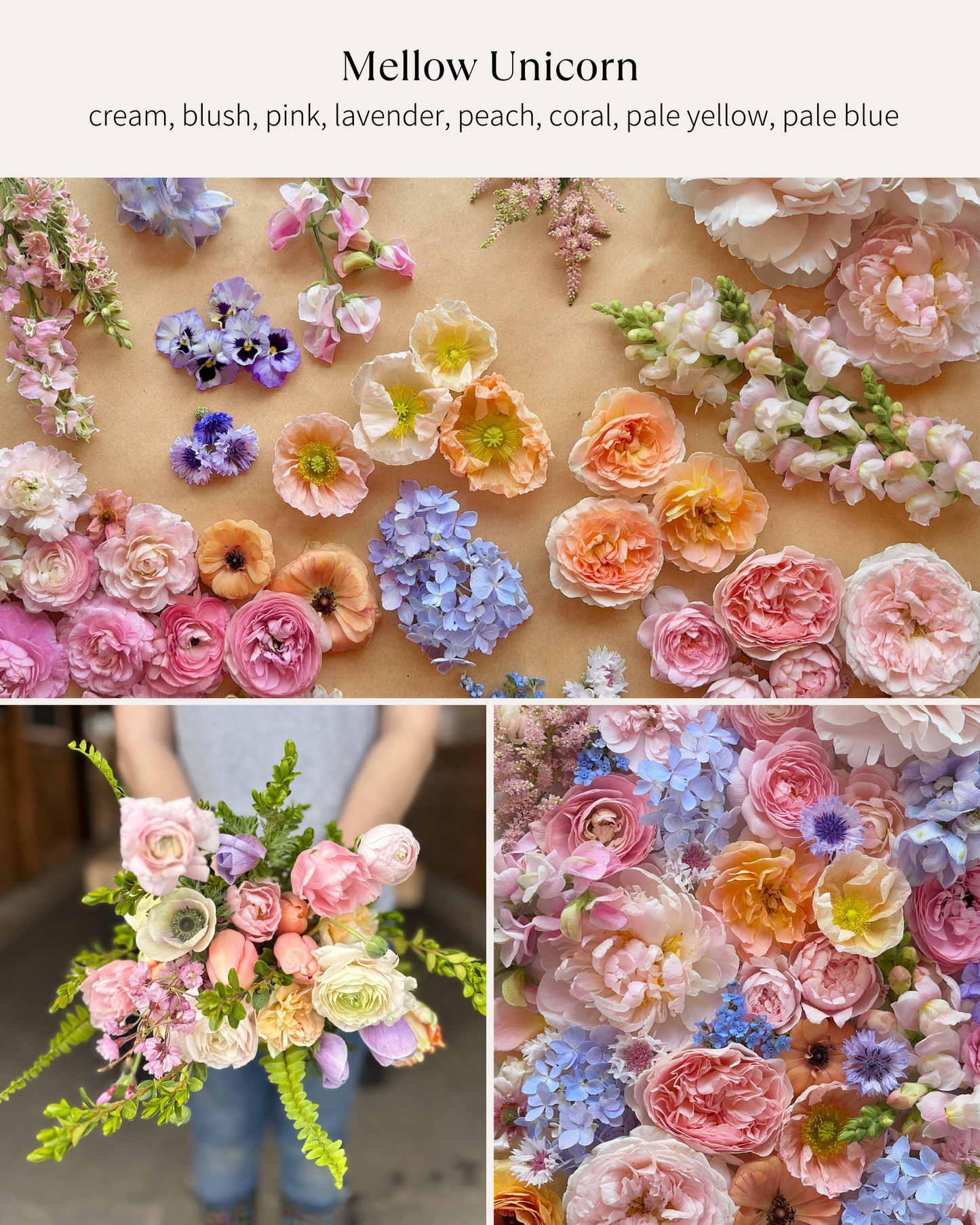 Bloom Bucket: Mellow Unicorn (50 Stems)