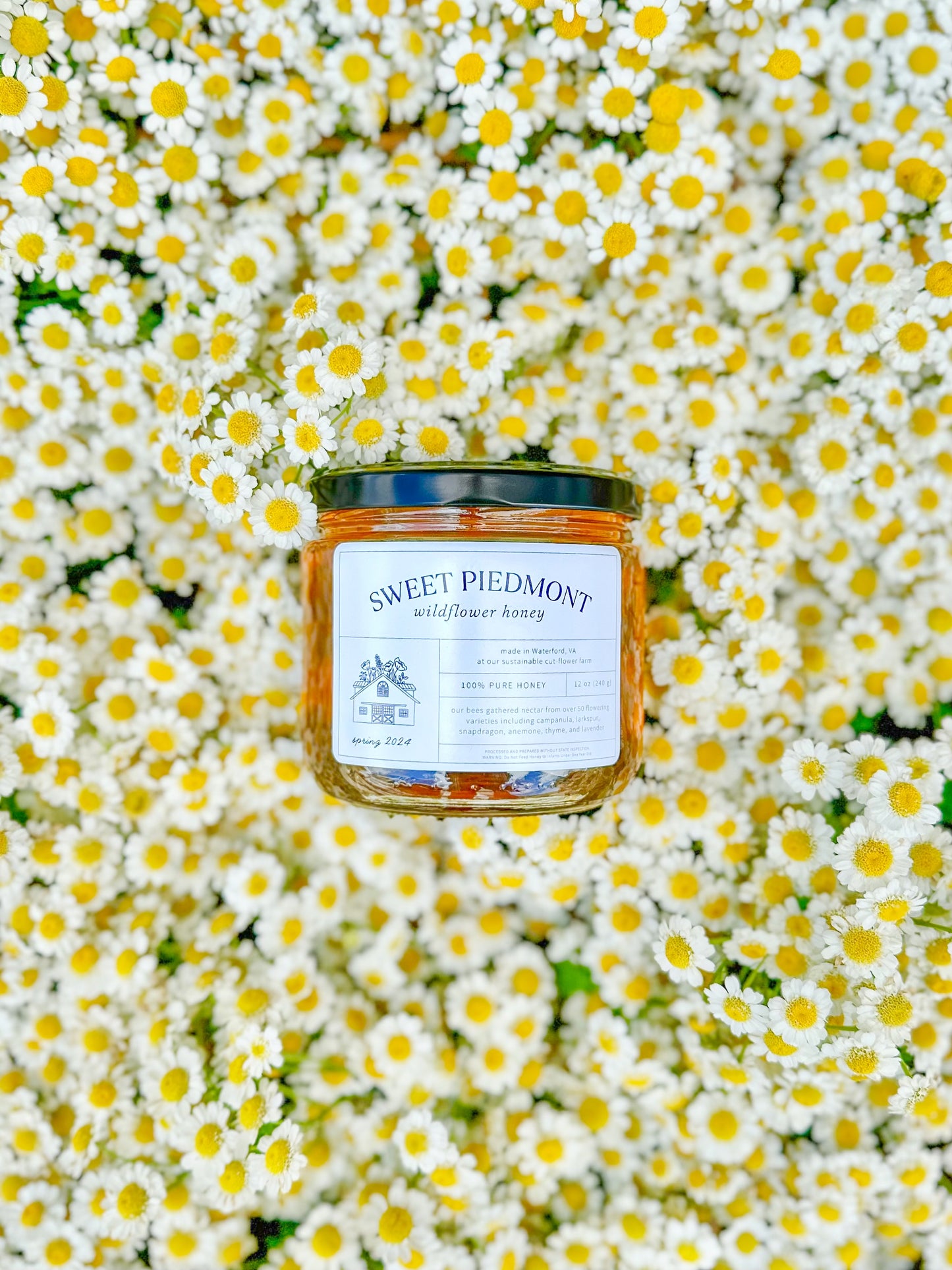 Wildflower Honey - 2025