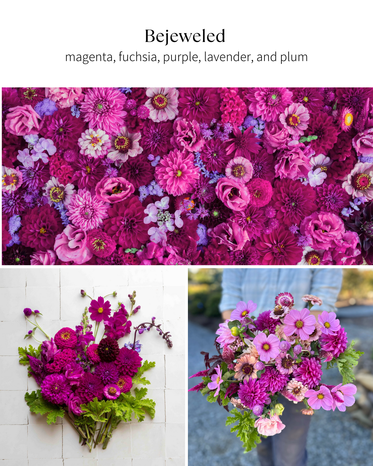 Bloom Bucket: Bejeweled (50 Stems)