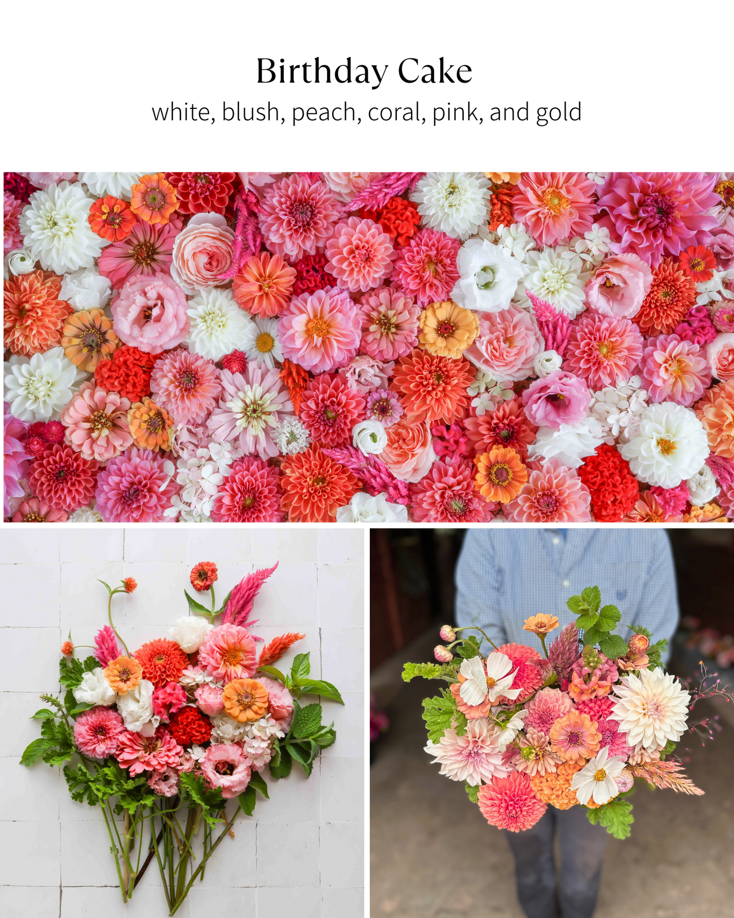 Bloom Bucket: Birthday Cake (50 Stems)
