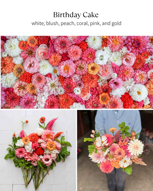 Bloom Bucket: Birthday Cake (50 Stems)