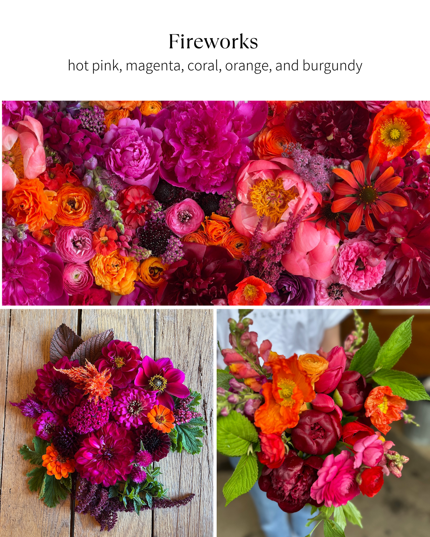 Bloom Bucket: Fireworks (50 Stems)