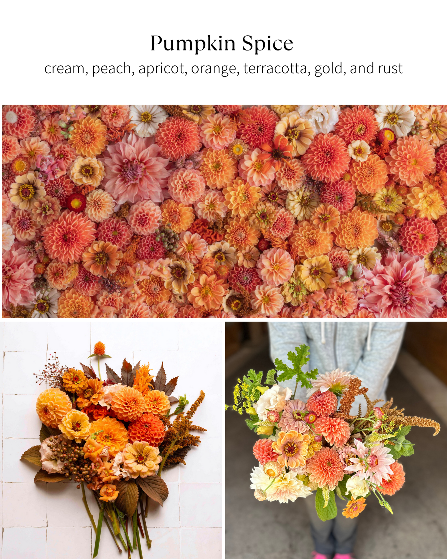 Bloom Bucket: Pumpkin Spice (50 Stems)