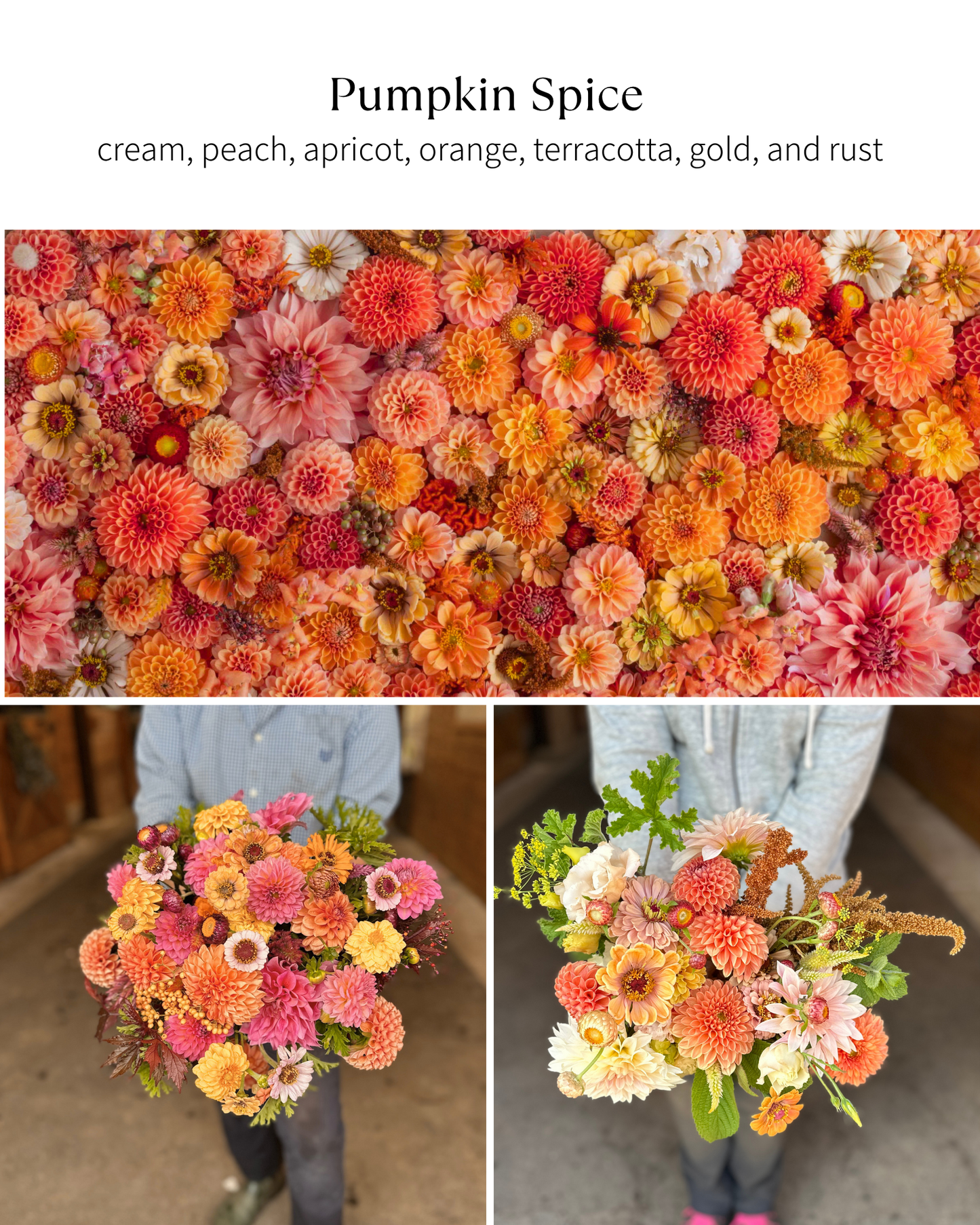 Bloom Bucket: Pumpkin Spice (50 Stems)