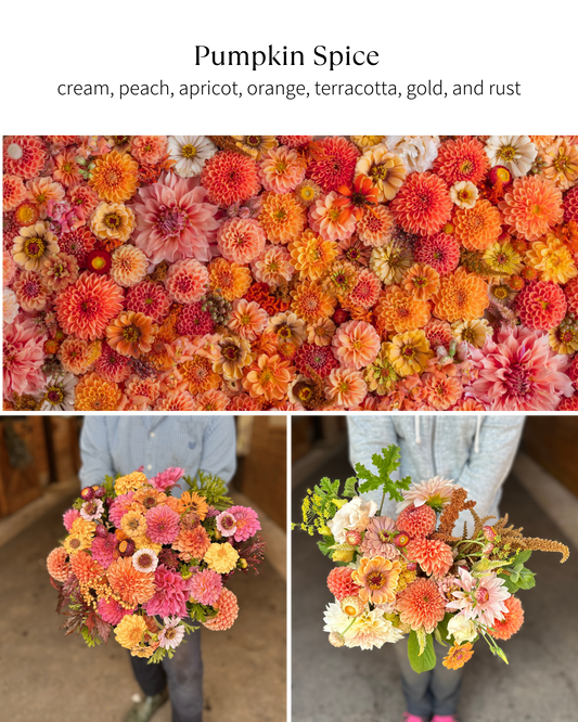 Bloom Bucket: Pumpkin Spice (50 Stems)