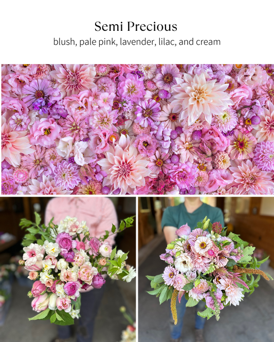 Bloom Bucket: Semi Precious (50 Stems)