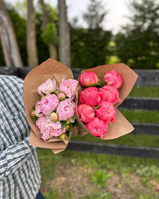 4 Weeks of Peonies (May 14 - June 4)
