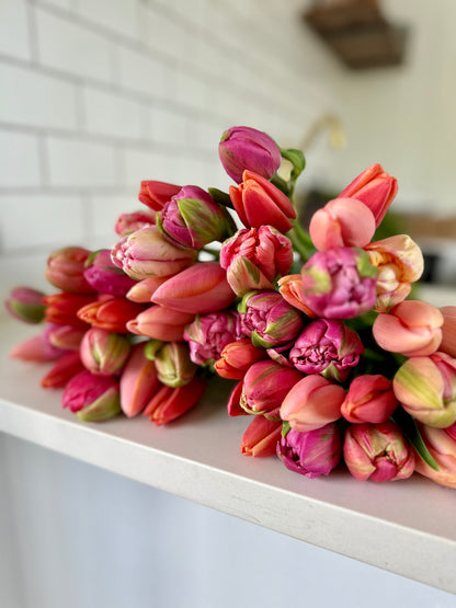 Bloom Rush Pre-Order: Specialty Tulip Bouquet