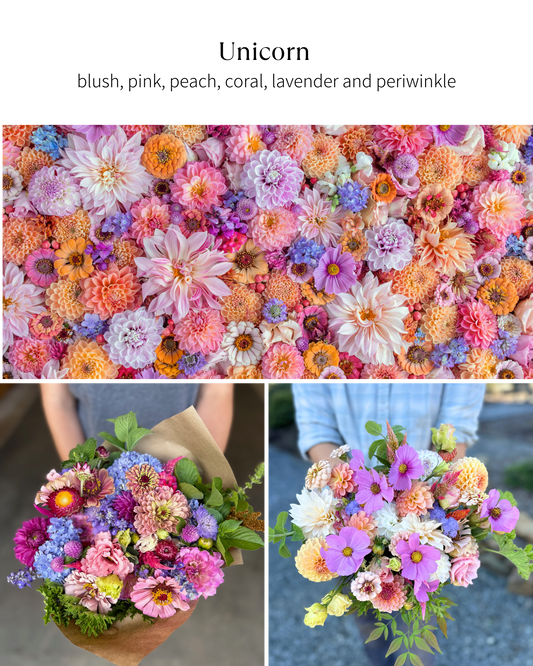 Bloom Bucket: Unicorn (50 Stems)