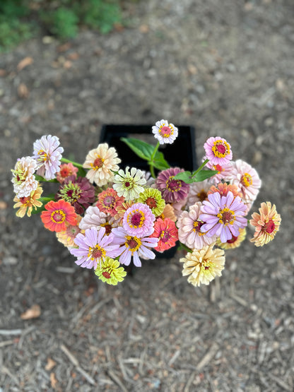 A Handheld Bouquet Workshop - Saturday, June 21st, 10AM