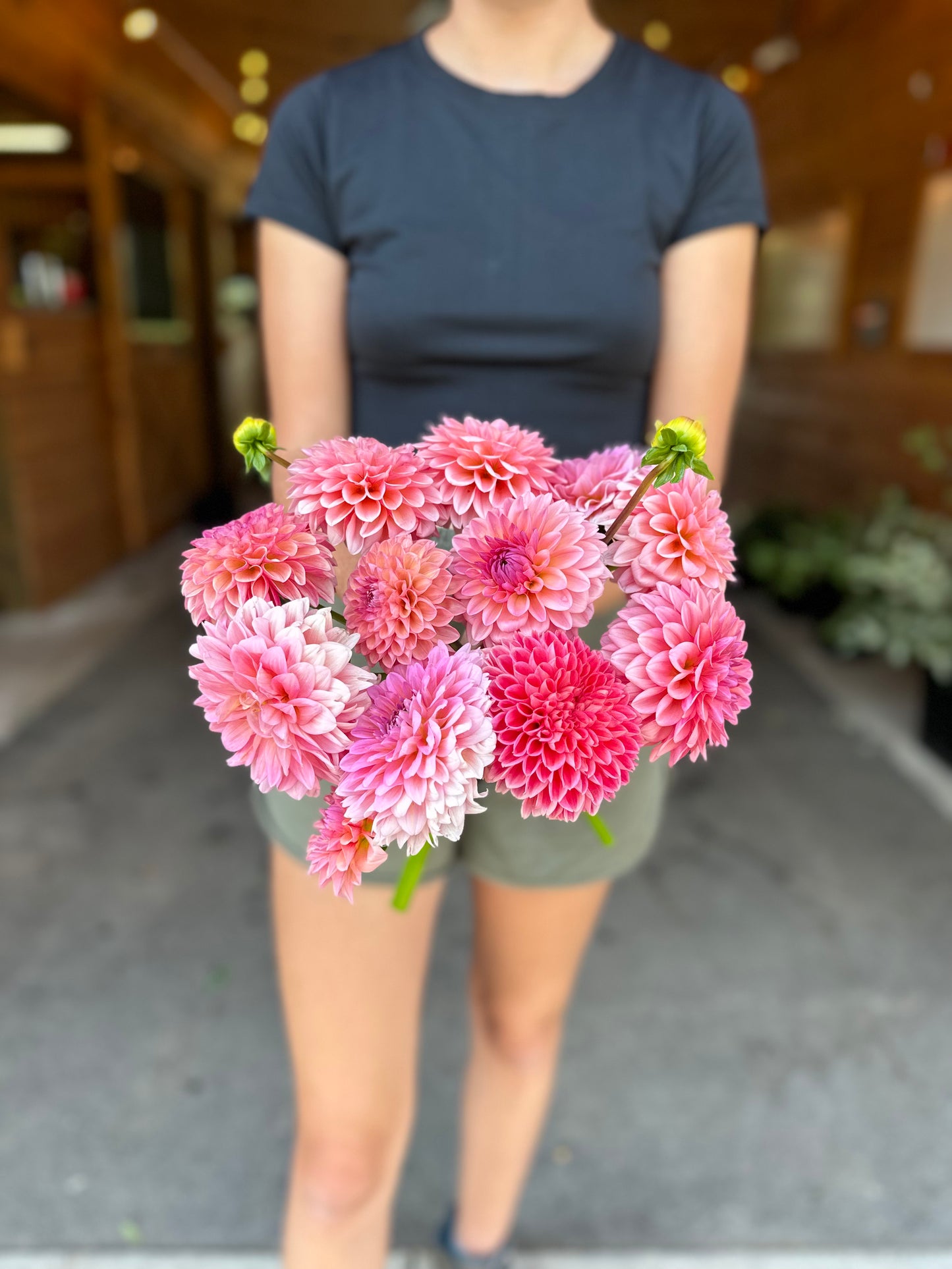 Dahlia Daze You-Pick: Saturday, September 13th, 1PM - 4PM