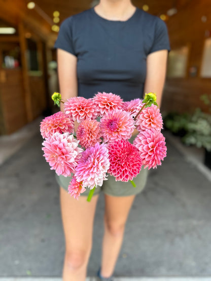 Dahlia Daze You-Pick: Saturday, September 13th, 1PM - 4PM