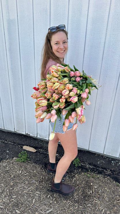 Tulip Bucket (50 Stems)