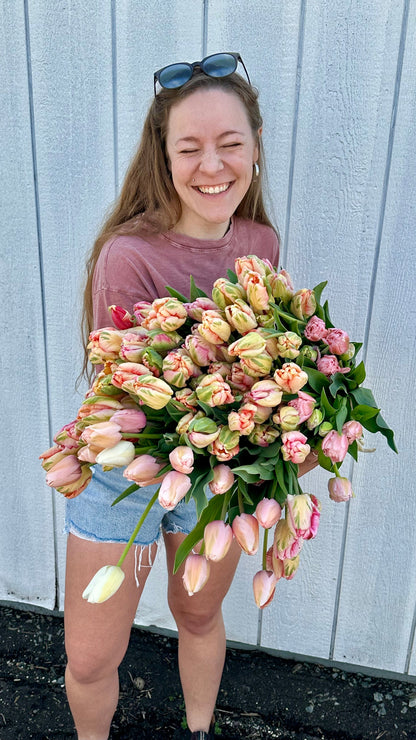 Fresh cut specialty tulips bringing joy and laughter to the heart