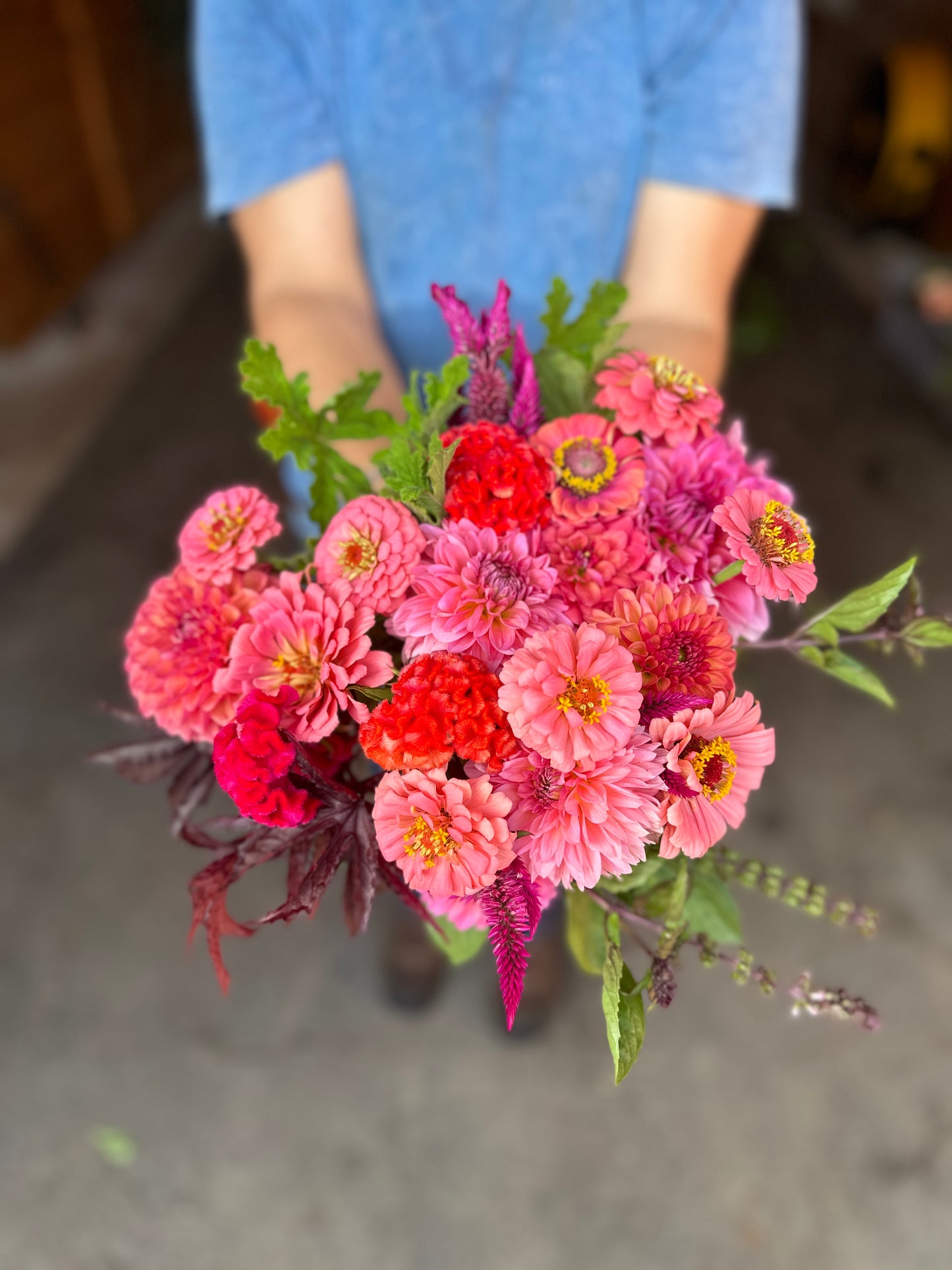 Fall Bouquet Subscription (6 Weeks)