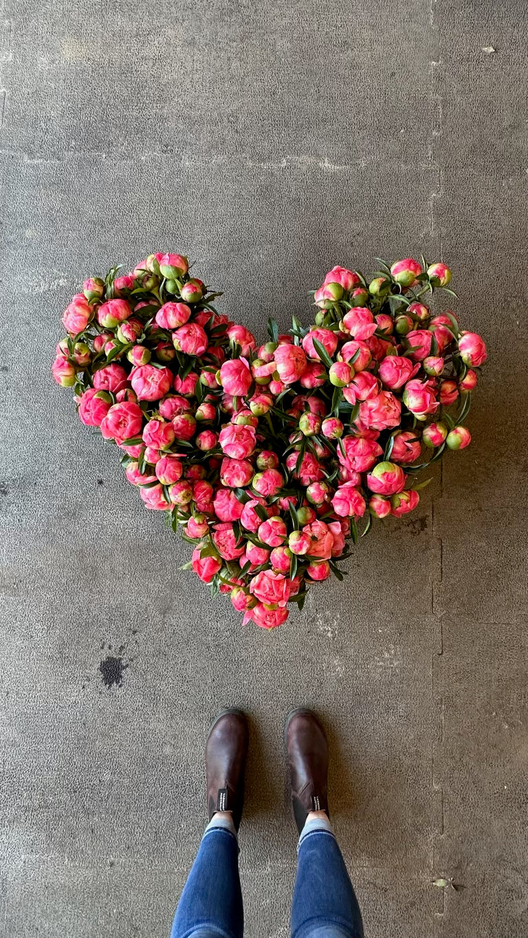 Peony Subscription (3 Weeks)
