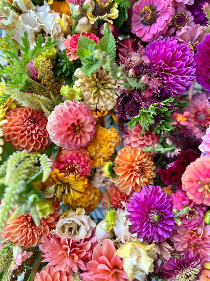 The Compote & Color Workshop - Saturday, October 4th, 10AM