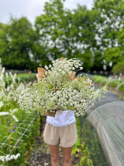 A Handheld Bouquet Workshop - Saturday, June 21st, 10AM