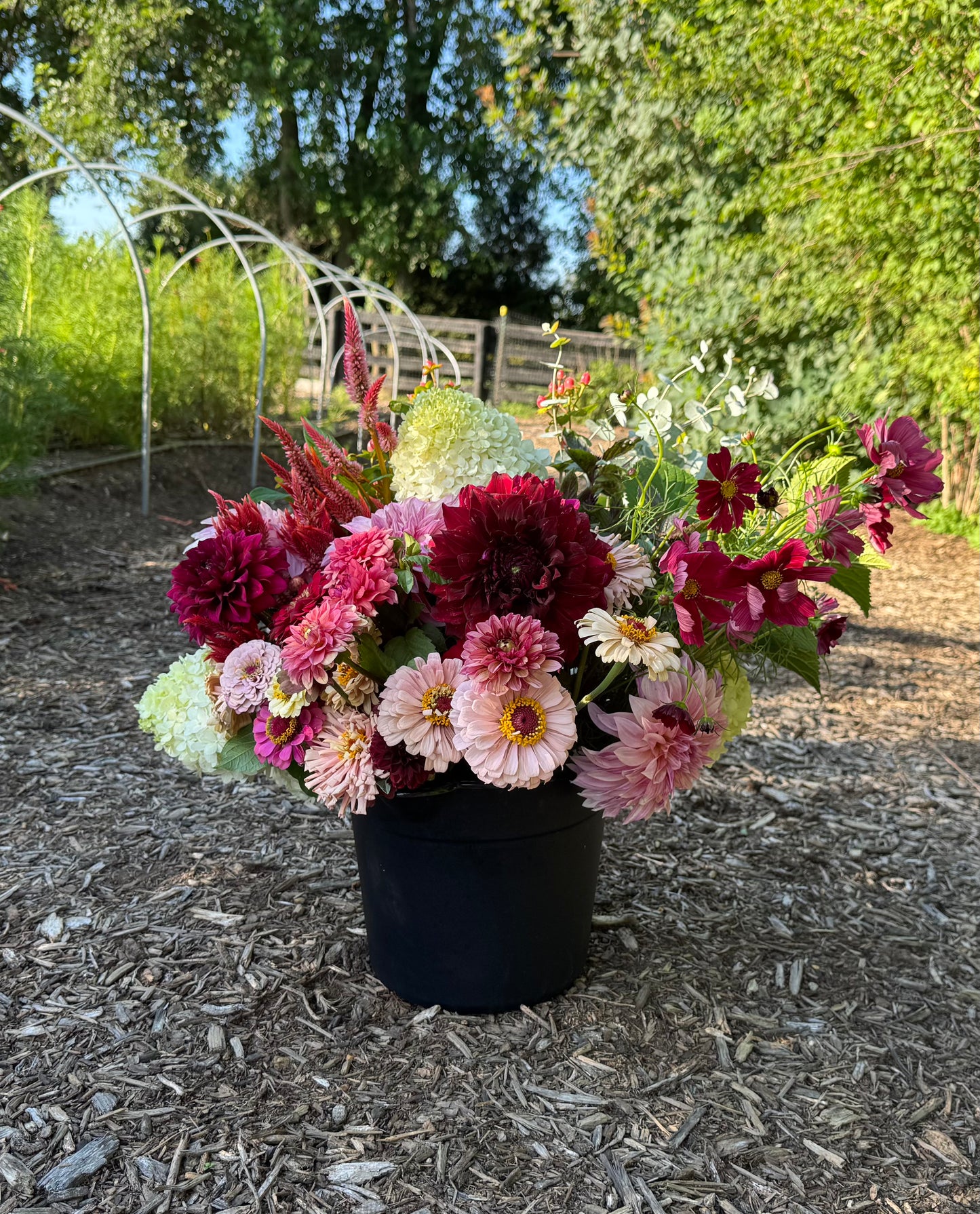 Bloom Bucket: Wine Flight (50 Stems)