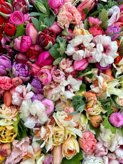 Spring Garden Design Workshop - Saturday April 12th, 10AM
