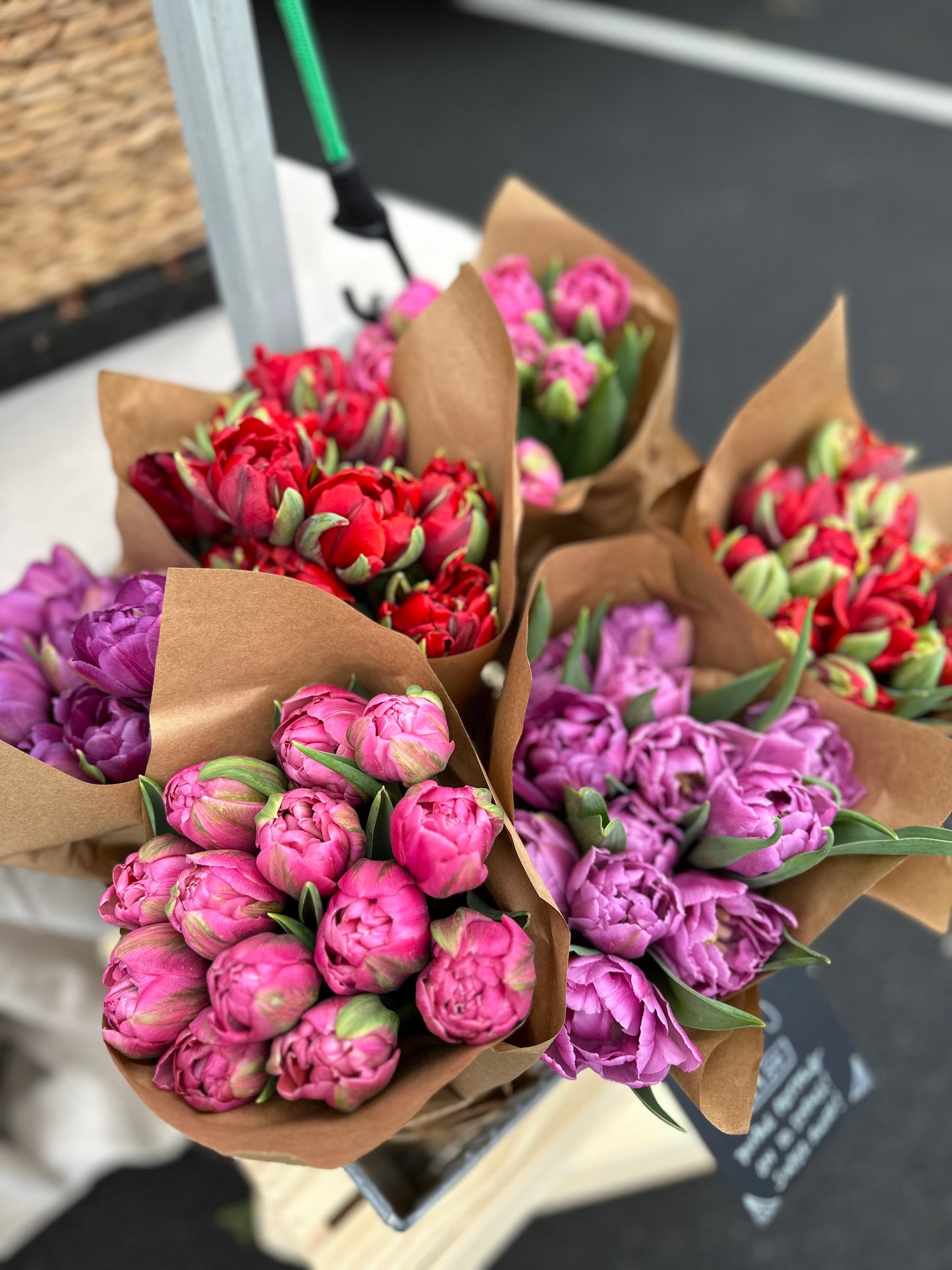 Tulip Bucket (50 Stems)