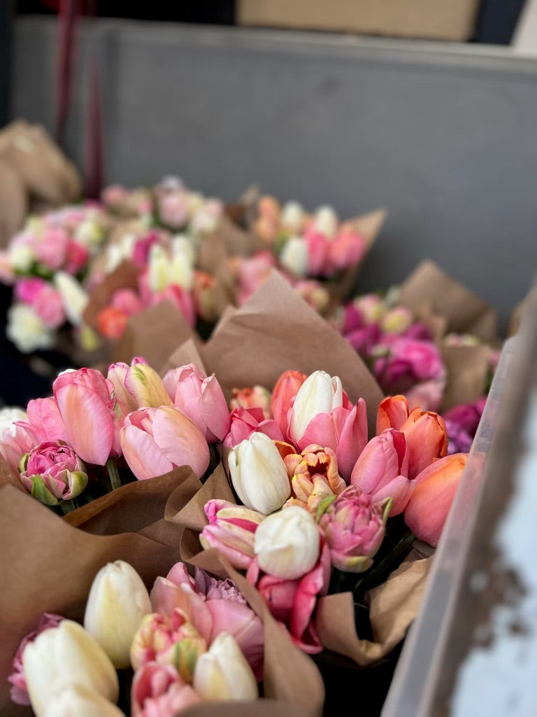 Specialty tulips in shades of blush, pink, coral, peach, and magenta