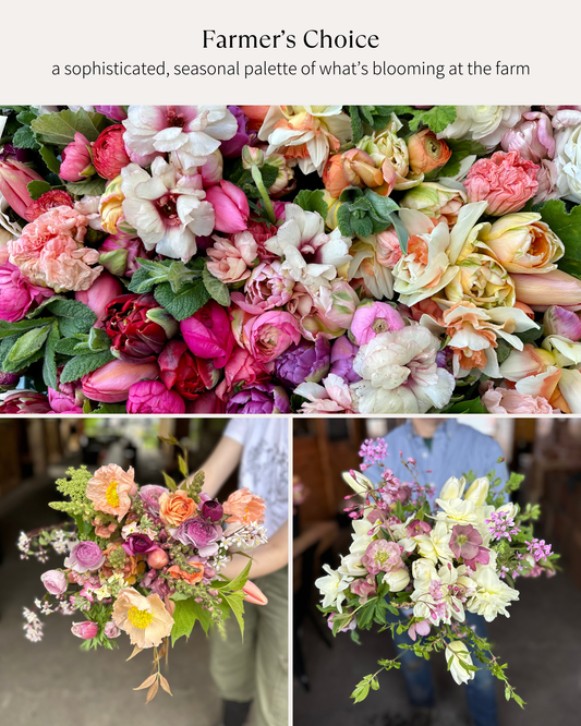 Bloom Bucket: Flower Farmer's Choice (50 Stems)
