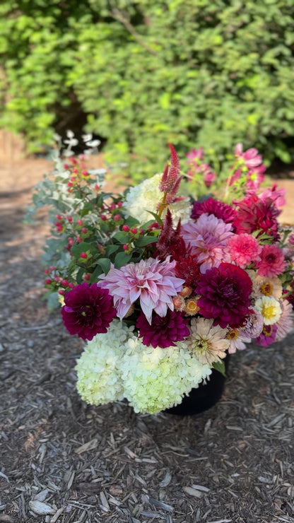 Bloom Bucket: Wine Flight (50 Stems)
